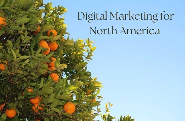 digital marketing for north america