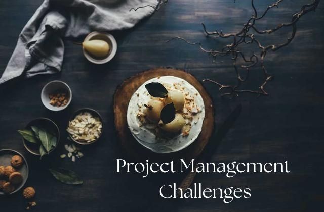 Project Management Challenges