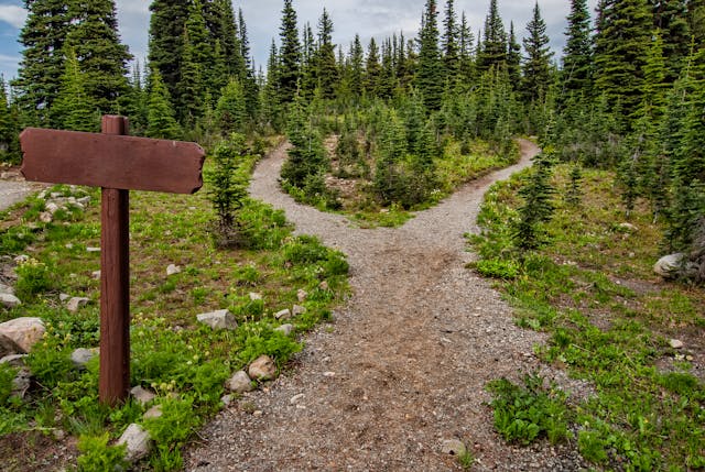 The Great Career Crossroads: Is it Better to Find a Job or Invent One?